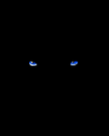 pic for Dark Tiger